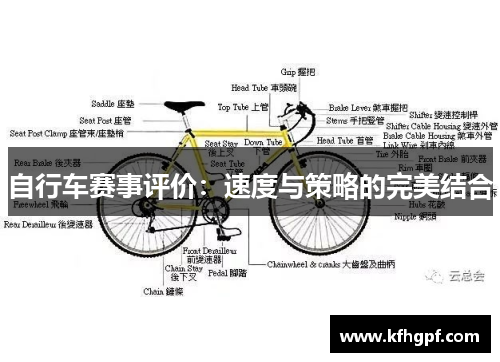 自行车赛事评价：速度与策略的完美结合